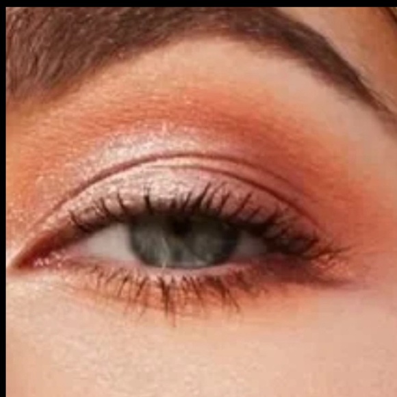 URBAN DECAY COSMETICS 24/7 Eyeshadow In Wild one(Burnt Orange Matte) - Picture 3 of 15